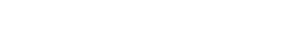 Next Evolution Logo